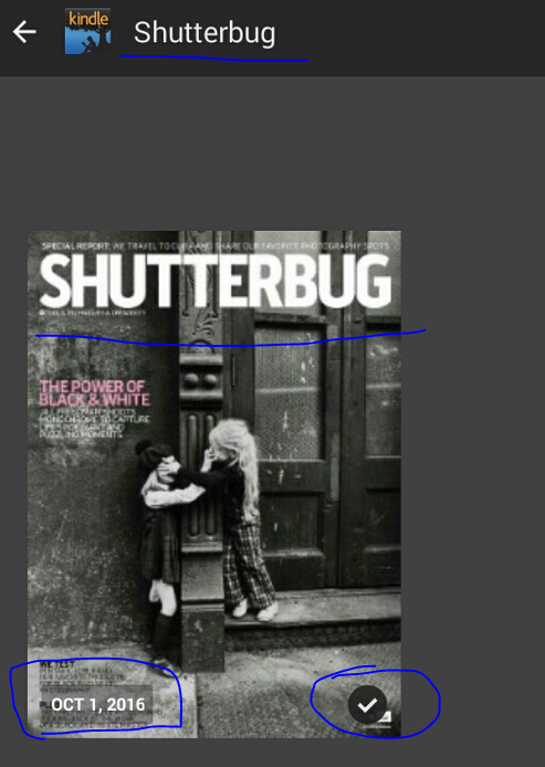 shutterbug_primereading